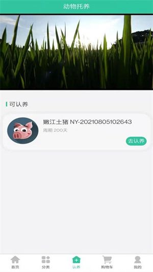 禾元商城app手机版图片1