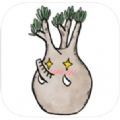 Pocket Succulent贴纸 1.0