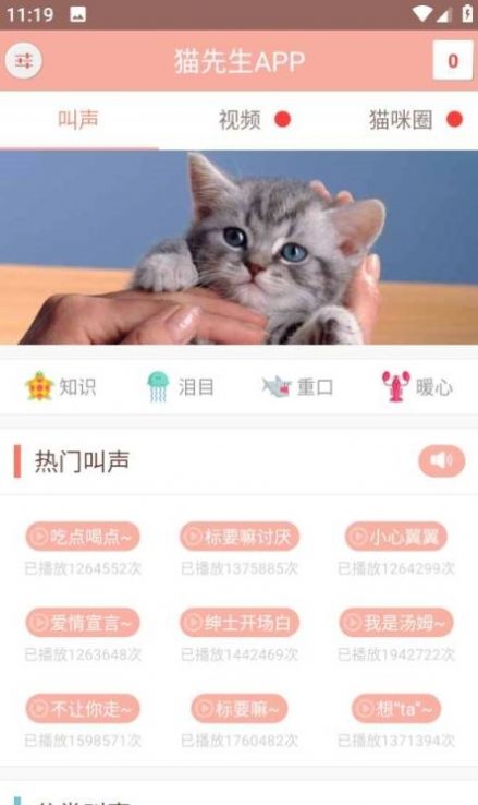 博猫管家app下载_博猫管家养宠app最新版下载v7.7 运行截图1