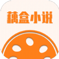 藕盒小说app-藕盒小说app官方版（暂未上线）1.0