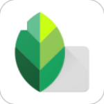 Snapseed pc版 v1.2.2