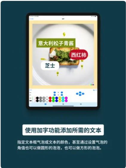 片图app下载_片图软件手机app1.0 运行截图1