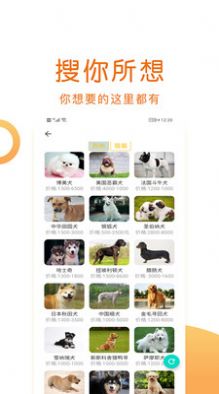 宠物乐园平台app下载_宠物乐园平台宠物百科app官方版v2.0.2 运行截图3