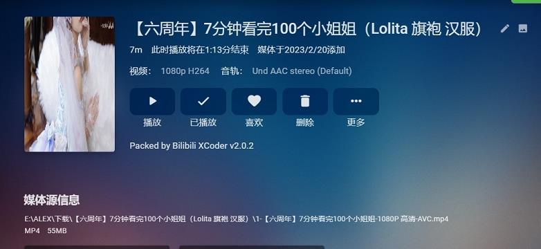 bilinfo中文汉化版_bilinfo(B站本地视频管理)绿色版 v1.0 运行截图1