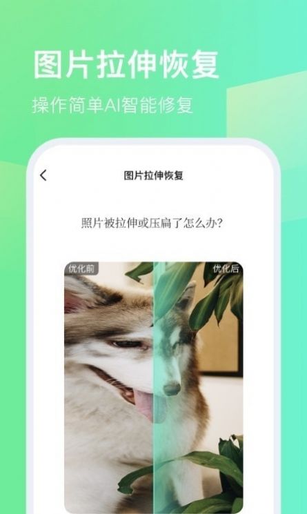 今天拍水印相机app下载_今天拍水印相机app手机版下载v1.0.1 运行截图3