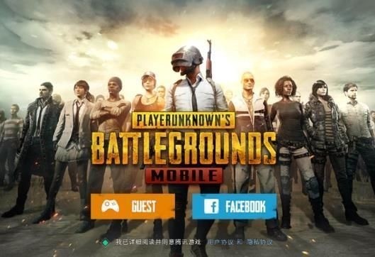 pubg最新国际版下载-PUBG Mobile国际版下载-PUBG Mobile刺激战场国际服下载 运行截图3