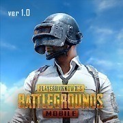 和平精英国际服下载 v1.9.6