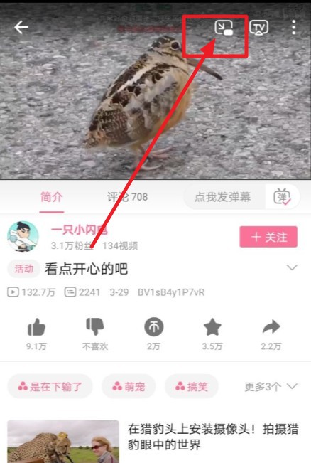 哔哩哔哩窗口模式怎么开[多图]