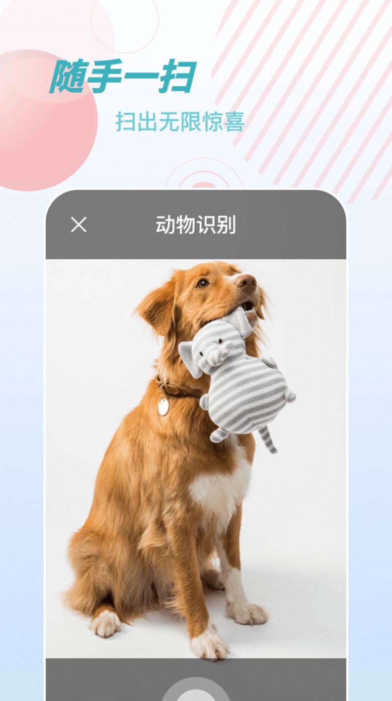 物品识别师app下载_物品识别师app手机版v1.0.0 运行截图2