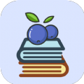 蓝莓免费小说app-蓝莓免费小说app官方版（暂未上线）1.0