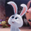 兔子影院app下载_兔子影院2023最新版appv2.0.2