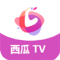 西瓜TV最新官方版 v1.0.0