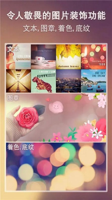 Snapseed编辑app下载_Snapseed编辑图片app手机版v1.0.7 运行截图3