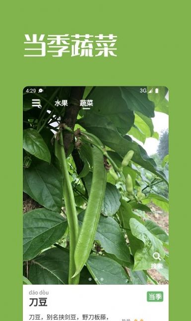 果蔬时节app下载_果蔬时节水果查询app软件v1.2.6 运行截图3