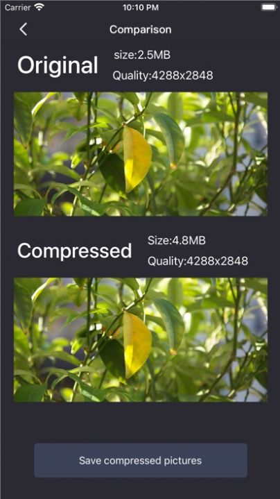 ZWD-Compresspicturesapp下载_ZWDCompresspictures压缩图片app手机版下载1.0.1 运行截图2