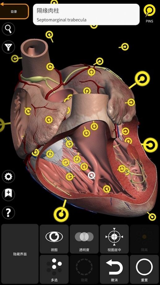 解剖学三维图谱app下载_解剖学三维图谱app官方版v4.1.0 运行截图2