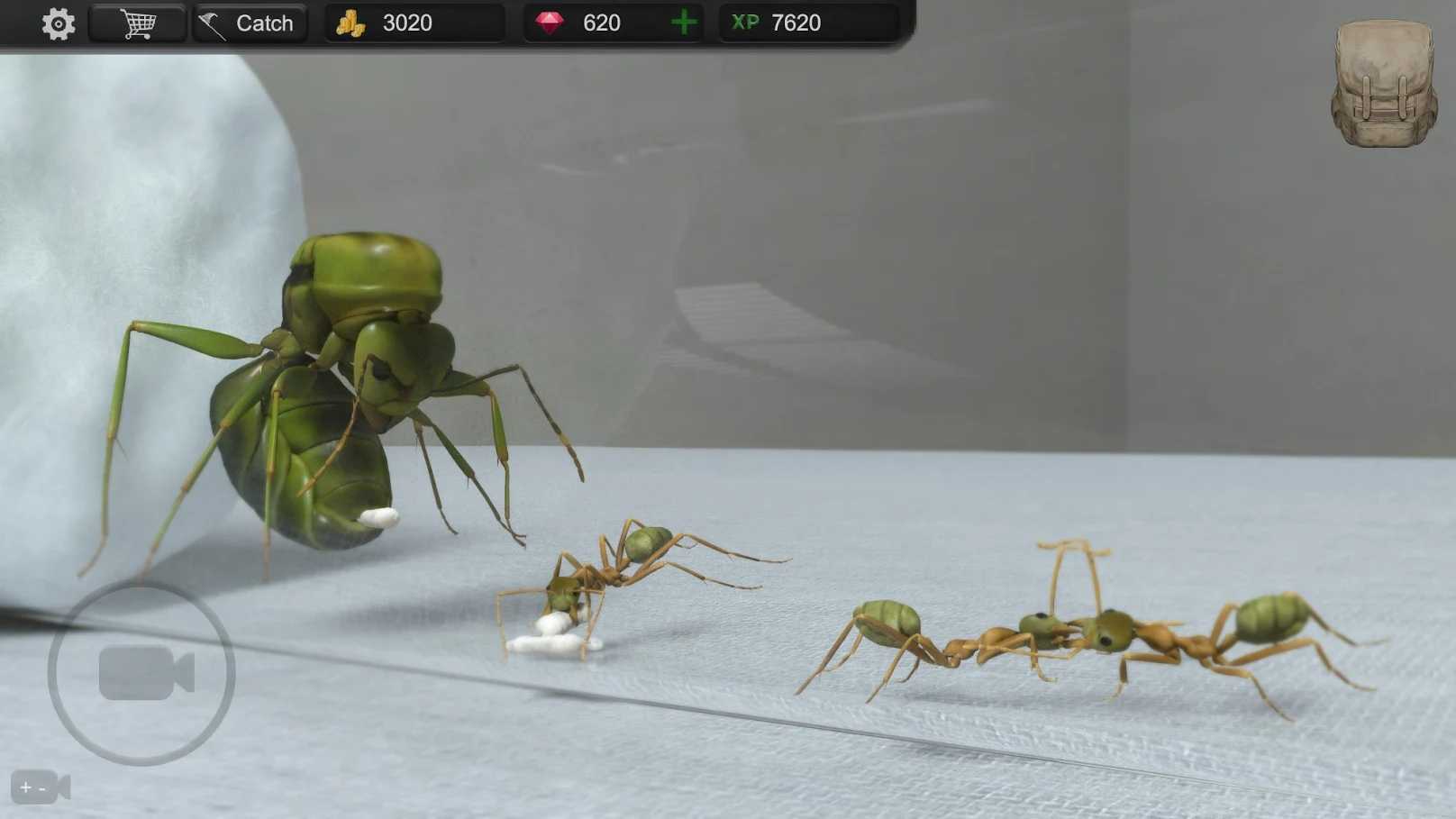 蚂蚁模拟大亨中文版下载-蚂蚁模拟大亨安卓版下载v1.5.4 运行截图4