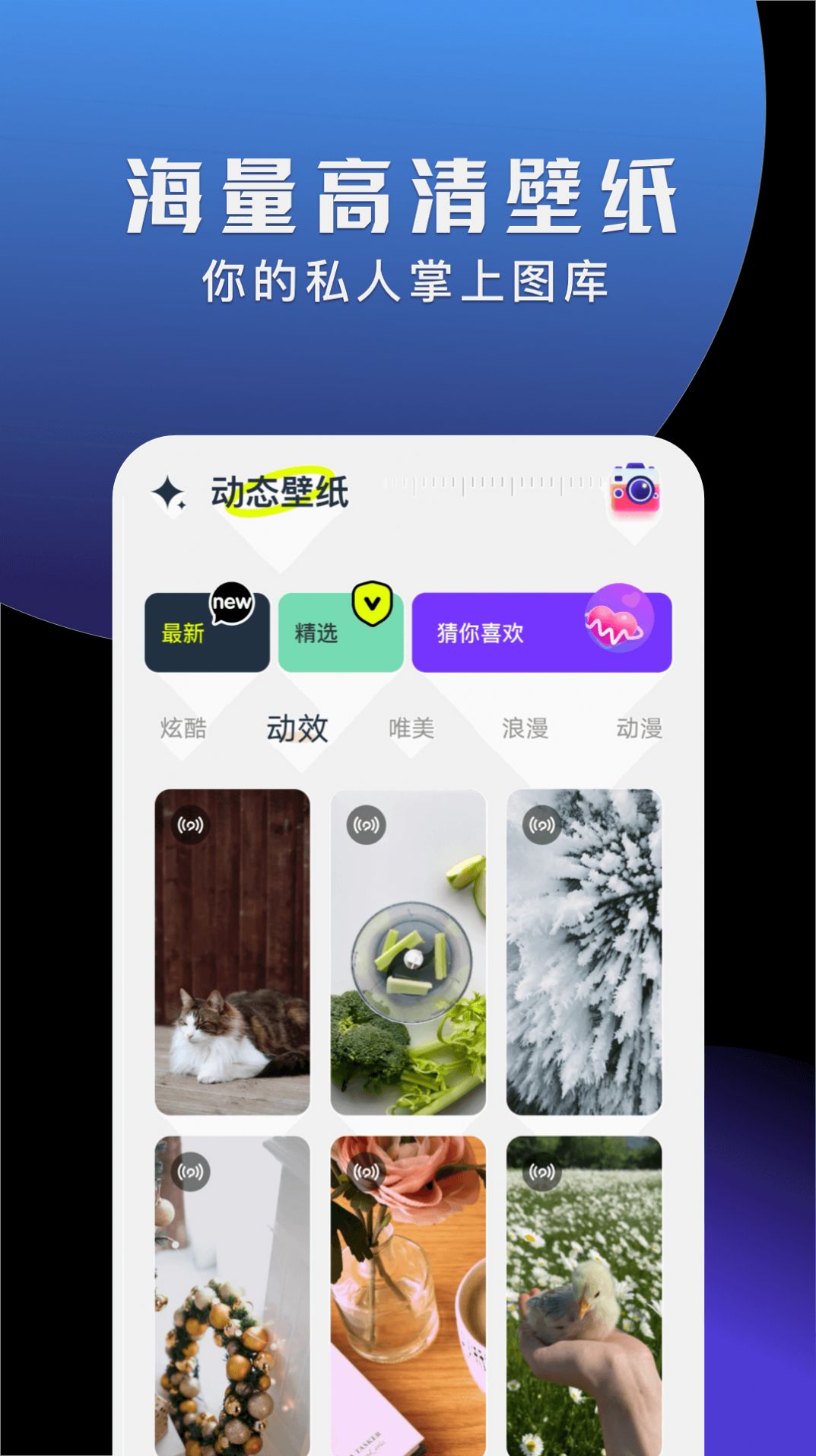 手机动态壁纸大全app下载_手机动态壁纸大全免费appv1.1 运行截图2