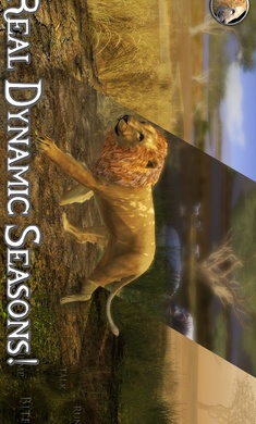 终极狮子模拟器2无限经验版-终极狮子模拟器2免费下载 运行截图1