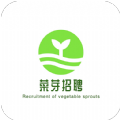 菜芽招聘app下载_菜芽招聘软件app手机版v1.0