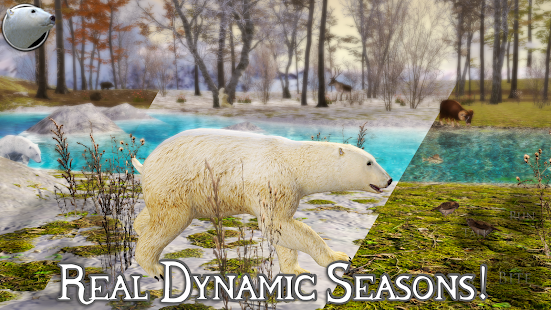 终极北极熊模拟器2无限经验版下载-北极熊模拟器下载 运行截图2