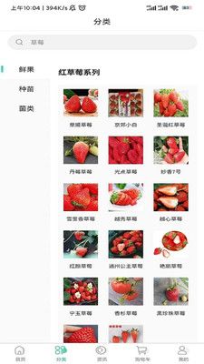 泉水草莓app下载_泉水草莓商城app手机版下载v2.2.0 运行截图1