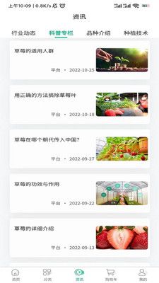 泉水草莓app下载_泉水草莓商城app手机版下载v2.2.0 运行截图2