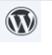 Wordpress高级主题插件下载器