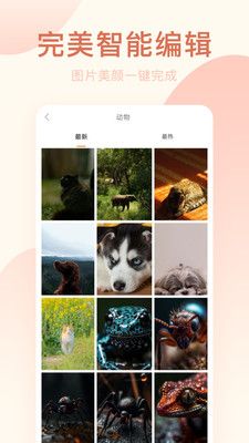 美颜相机专业版app下载_美颜相机专业版app软件v1.0.1 运行截图1