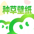 种草壁纸app下载_种草壁纸app官方版v1.0.0