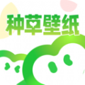 种草壁纸 v1.0.0