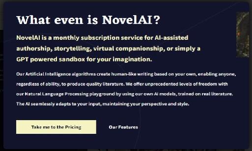 novelai图像生成器中文破解版下载安装_novelai图像生成器 运行截图3