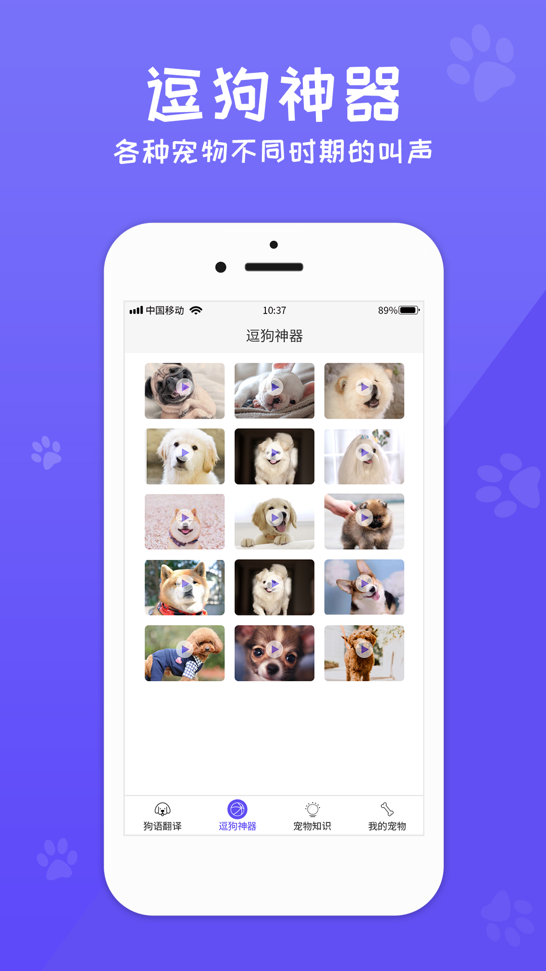 狗语翻译器app免费最新版_狗语翻译器app安卓版官方下载V1.0.3 运行截图2