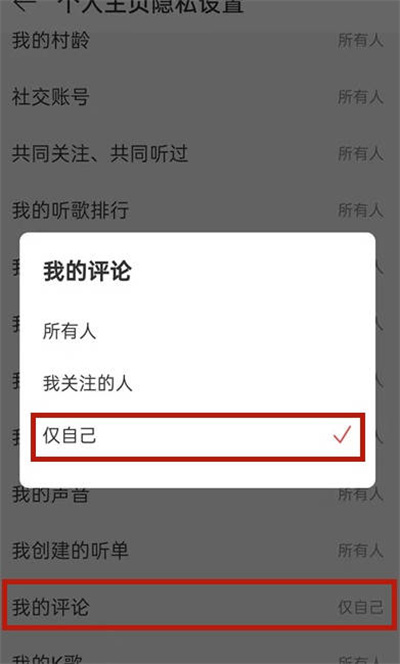 网易云音乐怎么不让别人看到我的评论