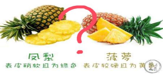 菠萝和凤梨哪个好吃 菠萝和凤梨味道一样吗