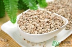 备孕可以吃薏米吗?备孕期间吃薏米有什么好处