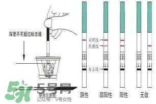 验孕试纸准吗？验孕试纸怎么看求图解