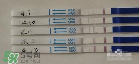 验孕试纸准吗？验孕试纸怎么看求图解