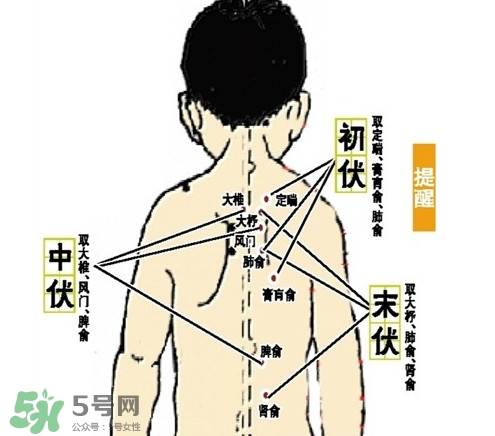 三九灸和三伏灸有什么区别？做完三伏灸要注意什么？