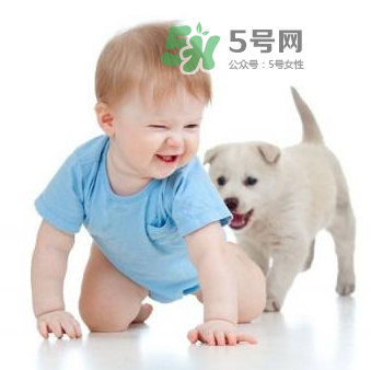 宠物对婴儿的影响 宠物对婴儿的危害有哪些？