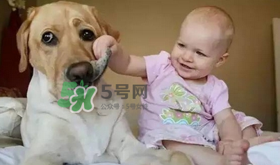 宠物对婴儿的影响 宠物对婴儿的危害有哪些？