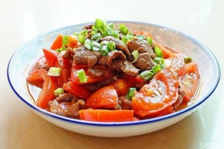 西红柿炖牛肉怎么做好吃 西红柿炖牛腩的做法