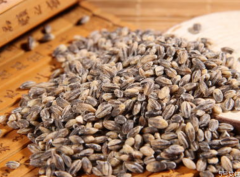 黑燕麦和白燕麦哪个减肥 黑燕麦片的食用方法 ​