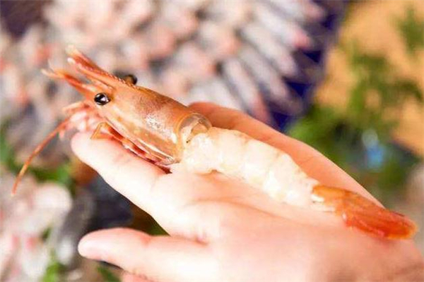 牡丹虾怎么吃 牡丹虾的做法