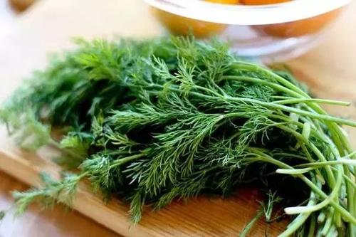 茴香能生吃吗 凉拌茴香怎么做好吃