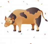 12生肖谁天生乐观谁悲观(乐观悲观都各有哪些生肖)