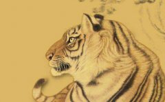 2022年最倒霉的四大生肖(2022年犯太岁的生肖)