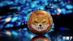 屎币最高涨了多少倍？屎币(SHIB、柴犬币)前景介绍