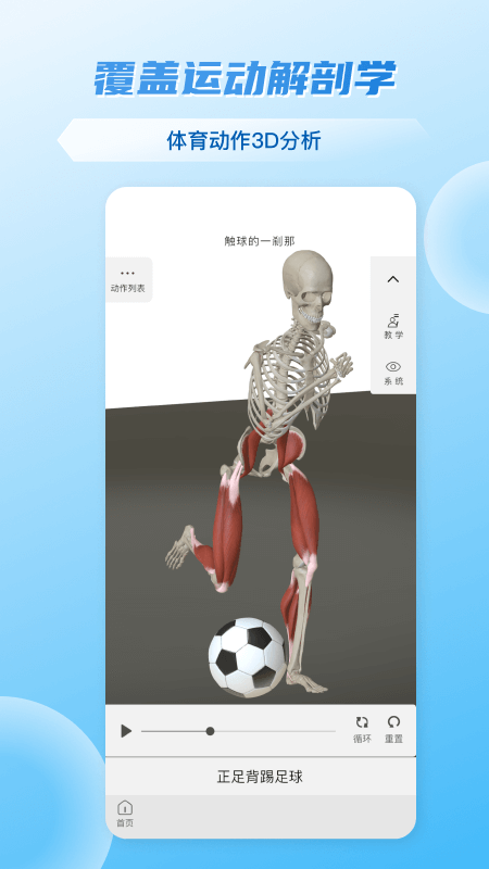 维萨里3D解剖安卓版下载 维萨里3D解剖免费版下载v6.8.0 运行截图4