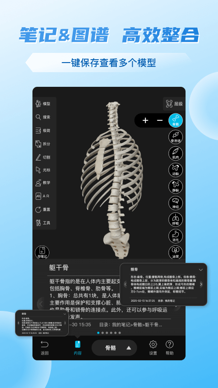 维萨里3D解剖安卓版下载 维萨里3D解剖免费版下载v6.8.0 运行截图2